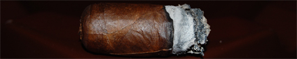 Nub Maduro - 5